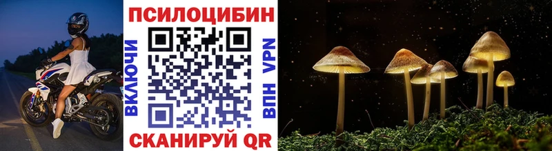Псилоцибиновые грибы Cubensis  OMG ТОР  Разумное 